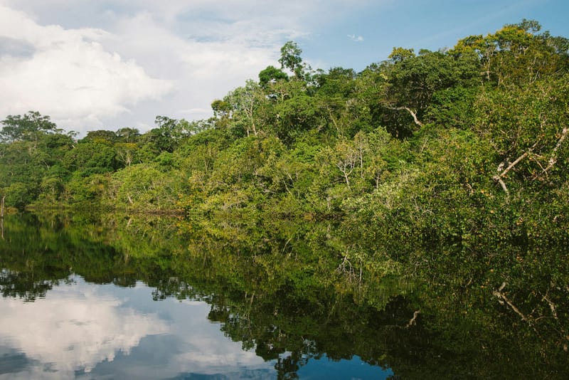 Calm Amazon river reflecting dense rainforest