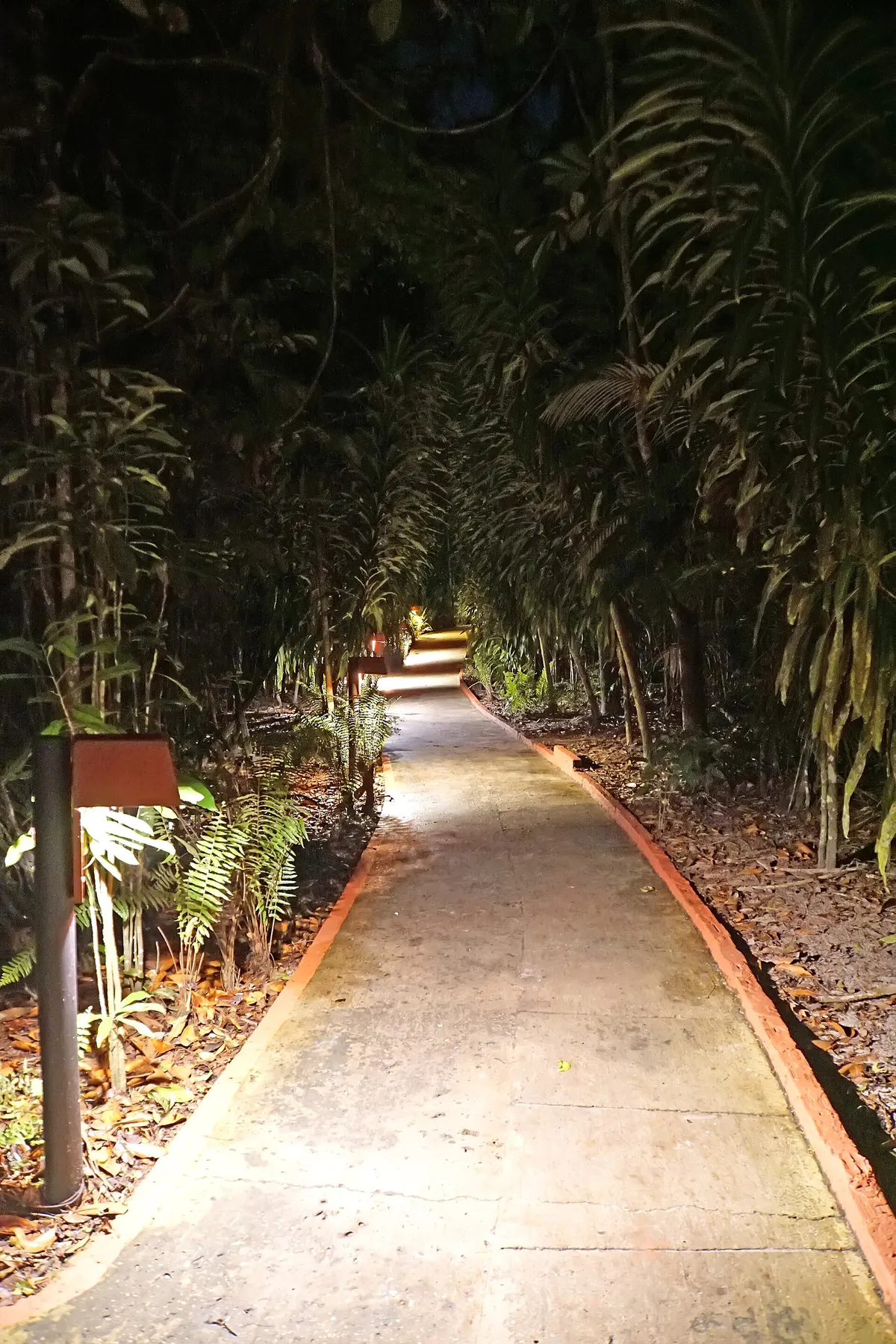 An Amazon jungle lodge
