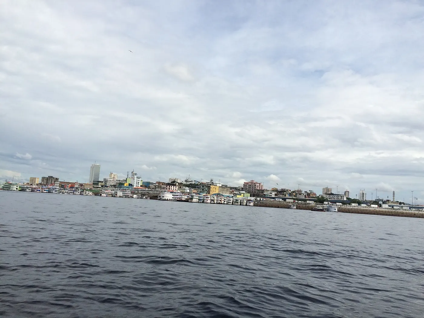 The Meeting of the Waters near Manaus