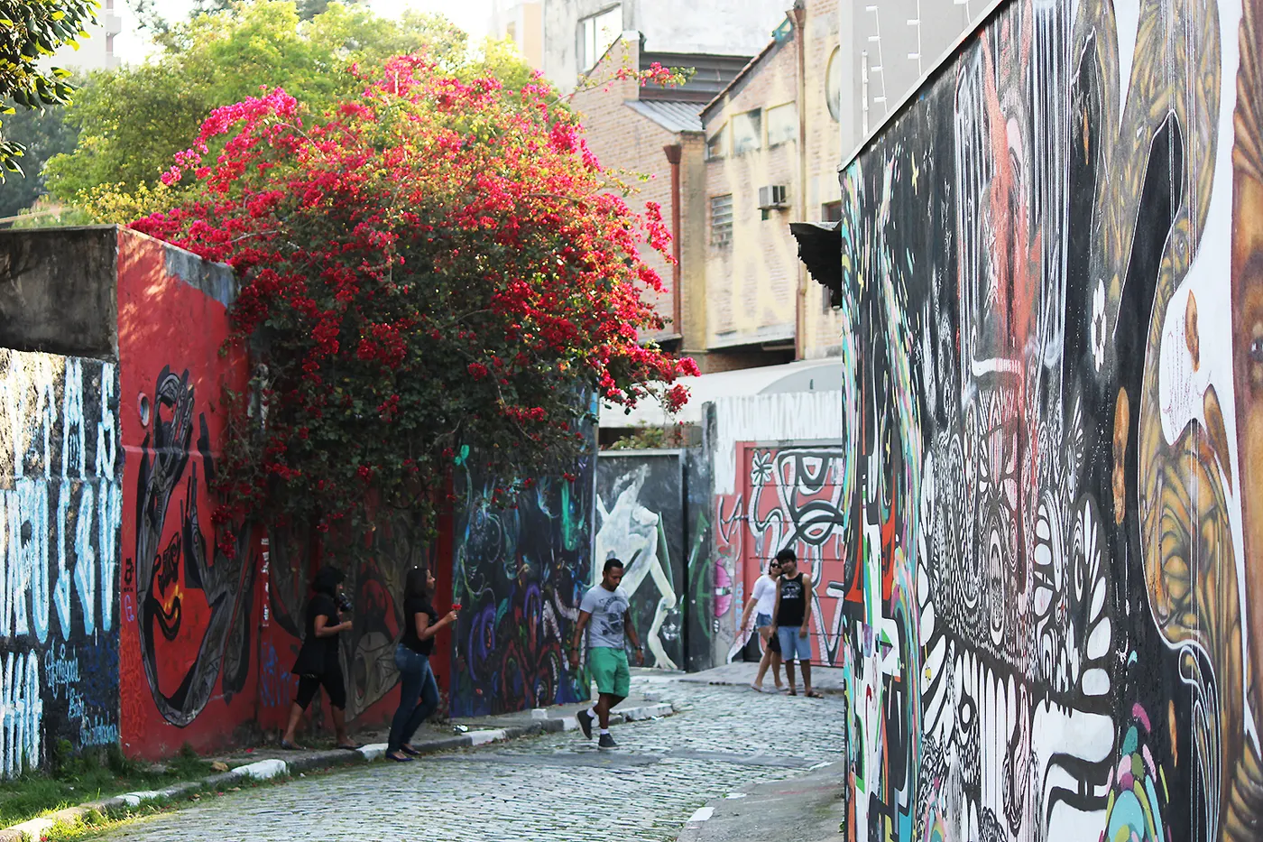 Street art in Beco do Batman