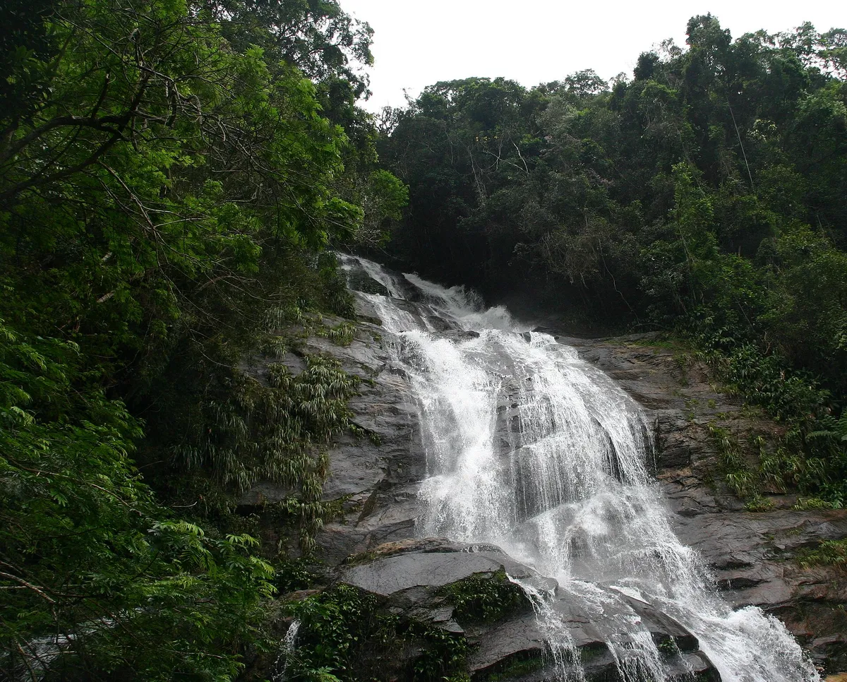 A waterfall in the Tijuca rainforest